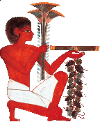 ASSOCIATION PAPYRUS