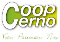 CERNO