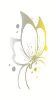 PHENIX SERVICES
