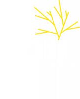 SEQUOIA