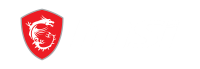 MSI COMPUTER