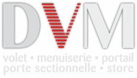 DVM