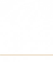 REGIS FERRIERE