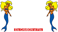 LA PERLE DE THAU