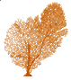 SARL LABORATOIRE GORGONA