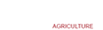 FUTUR AGRI