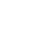 CASH VIN