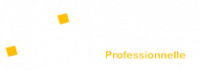 IFI INFORMATIQUE