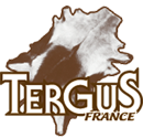 TERGUS