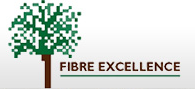 FIBRE EXCELLENCE SAINT-GAUDENS SAS