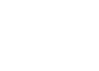 BACK BONE- ROSMOTOR FRANCE