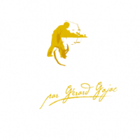 RUSTICAM