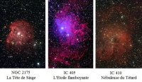 DINASTRO