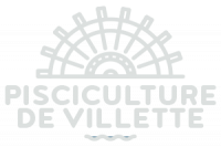 PISCICULTURE DE VILLETTE
