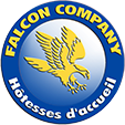 FALCON COMPANY