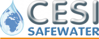 CESI COOPERATION EQUIPEMENT SERVICE INTERNATIONAL