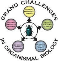 SICB