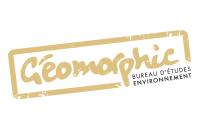 GEOMORPHIC