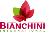 BIANCHINI INTERNATIONAL