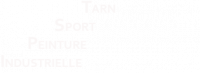 T.S.P.I