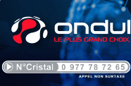 ONDULEURS APS