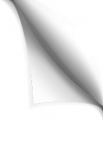 UNIPEX SOLUTIONS FRANCE