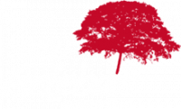 ARTEBOIS