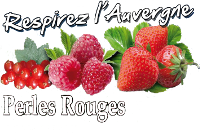 GIE PRODUCTEURS FRUITS ROUGES MONT VELAY
