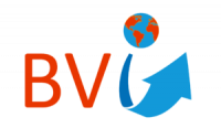 B.V. INTERNATIONAL