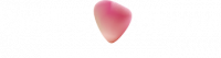 COOPERATIVE PARFUMEURS PASSION BEAUTE