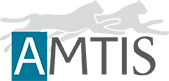 AMTIS
