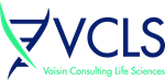 VOISIN CONSULTING