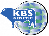 KBS GENETIC