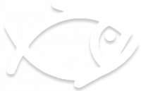 O.A.- OCEANE ALIMENTAIRE