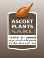 ASCOET PLANTS