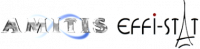 GROUPE AMITIS-EFFI STAT