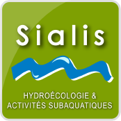 SIALIS