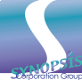 SYNOPSIS TECHNOLOGIES