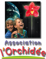 L'ORCHIDEE