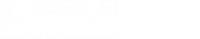 RACE COMPANY