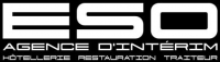 EXTRA SERVICE ORGANISATION