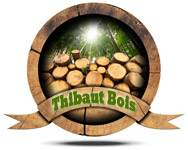 THIBAUT BOIS