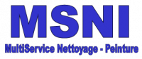 MSNI