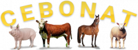 IAP INTERNATION ANIMAL PRODUCTS