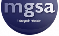 M.G.S.A.