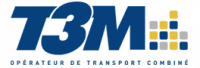 T3M