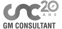 GM CONSULTANT