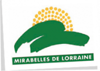 MIRABELLES DE LORRAINE