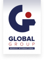 GLOBAL TRANSIT