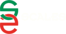 SCALES SERVICES